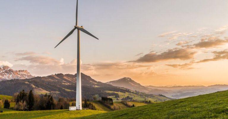 Environmental Trends - White Windmill